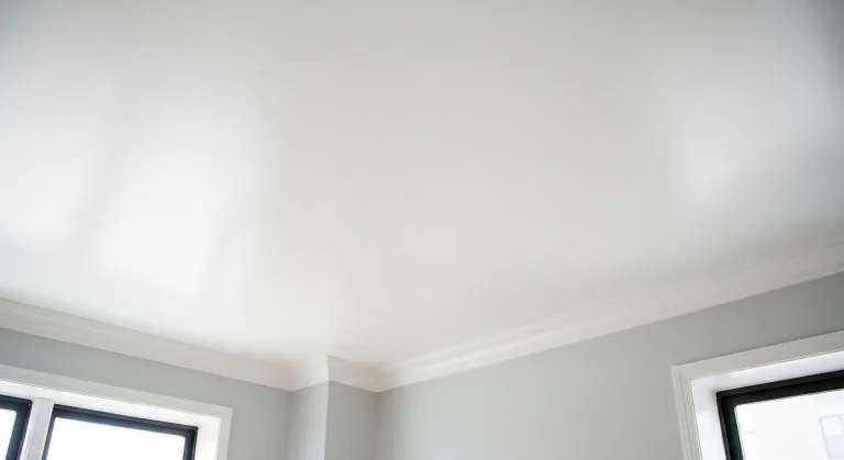 White painted ceiling with clean trim lines and natural light reflection